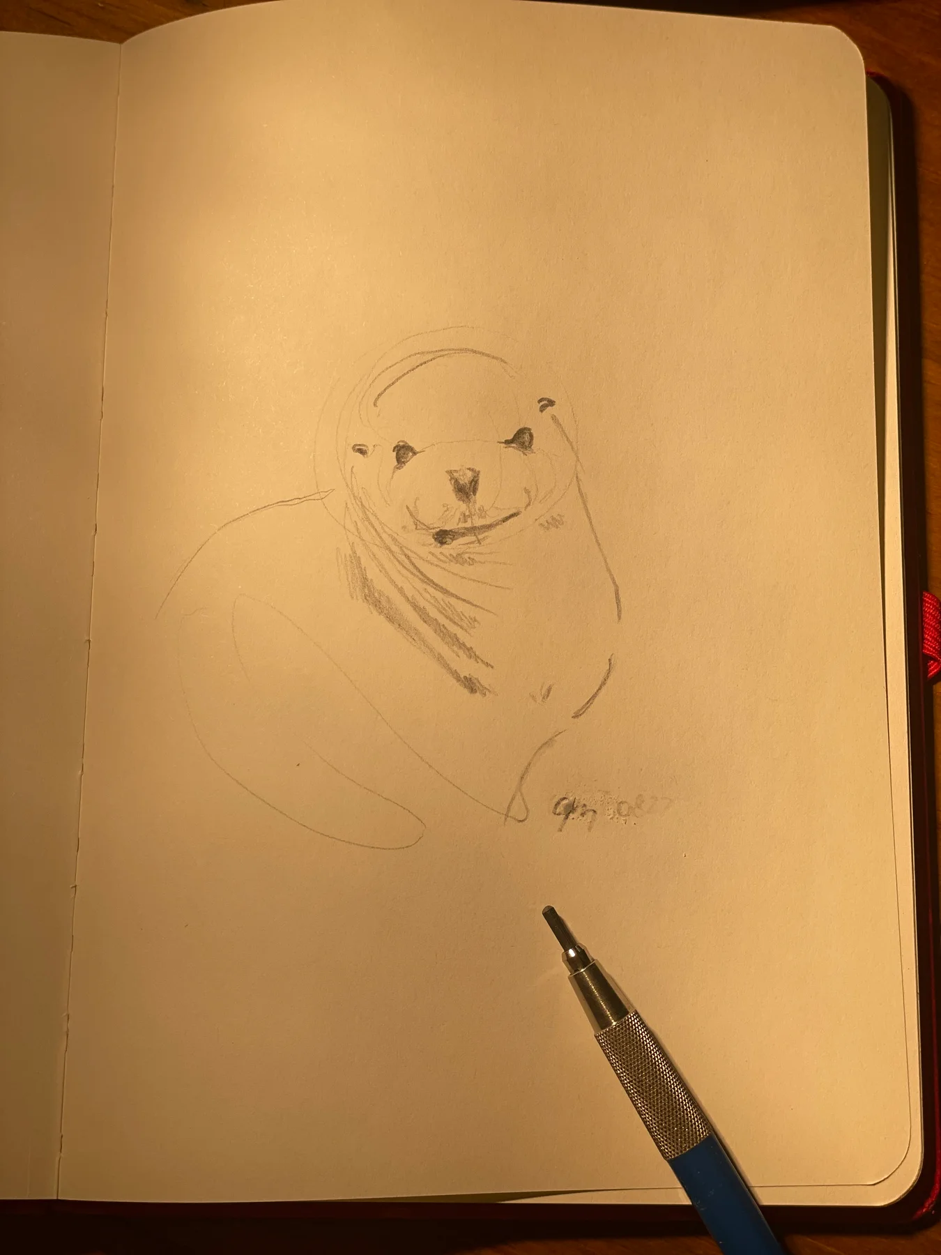 Puppy Pencil Sketch cover image