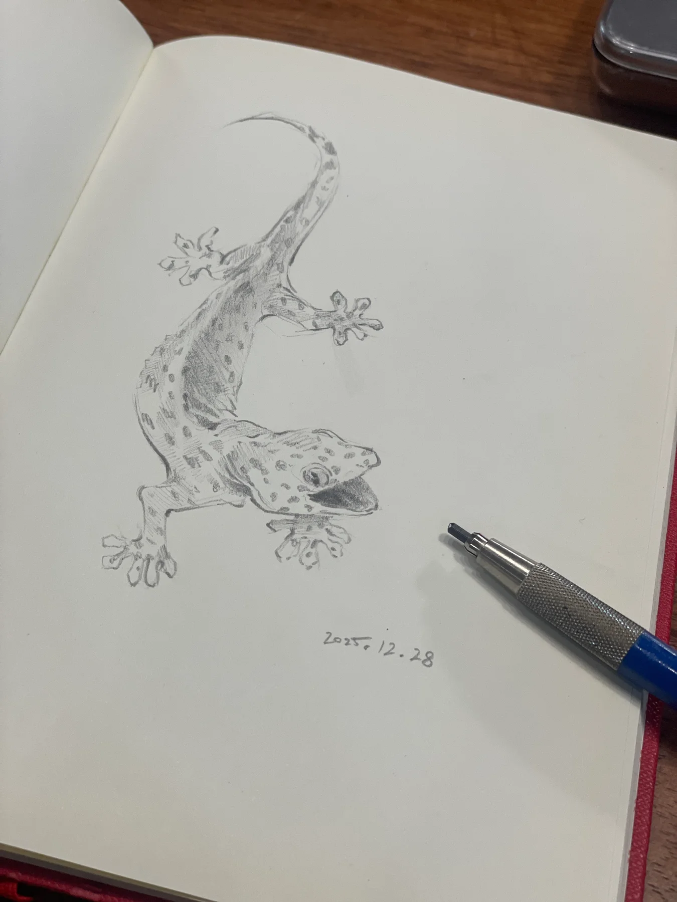 Gecko Sketch cover image