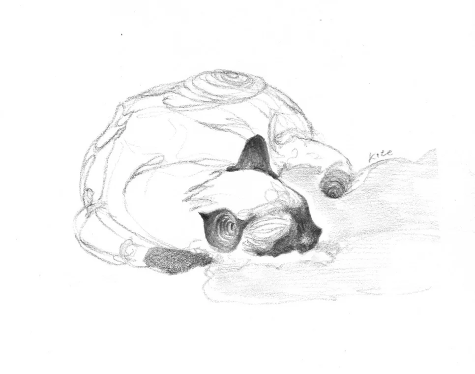 Portrait on Paper 대표 이미지
