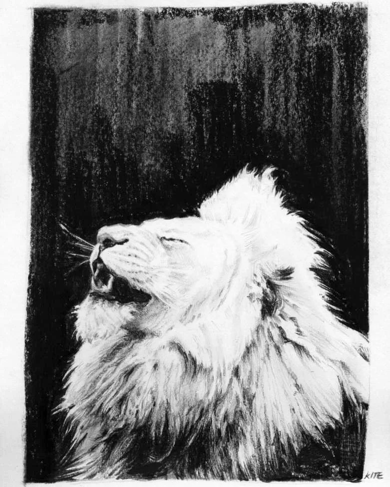 Lion Head 대표 이미지