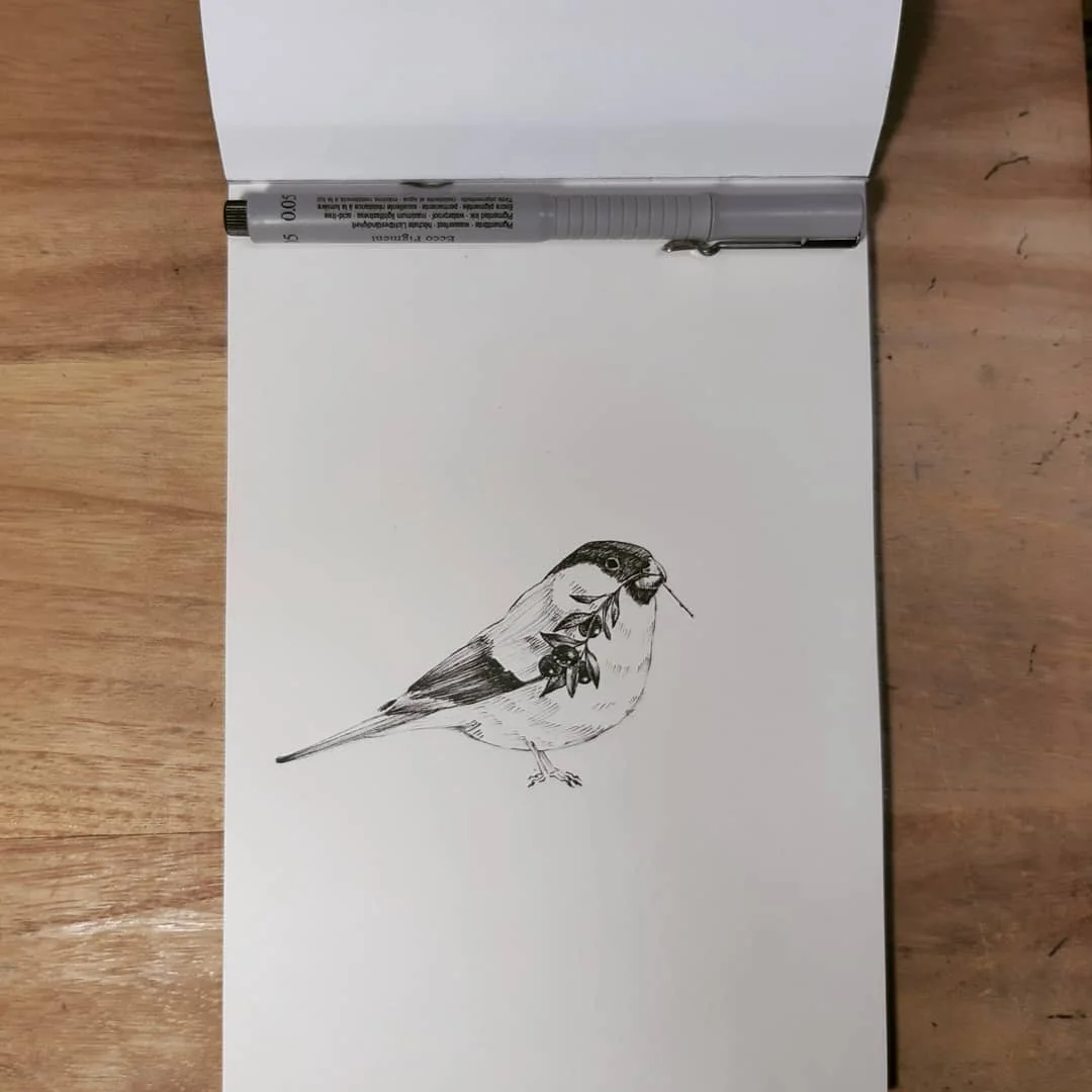 Bird Study Set 4