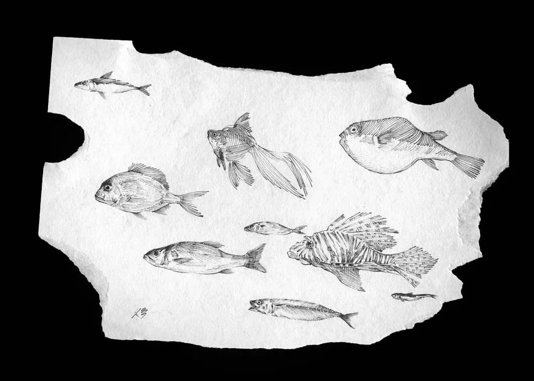 Fish Studies 대표 이미지