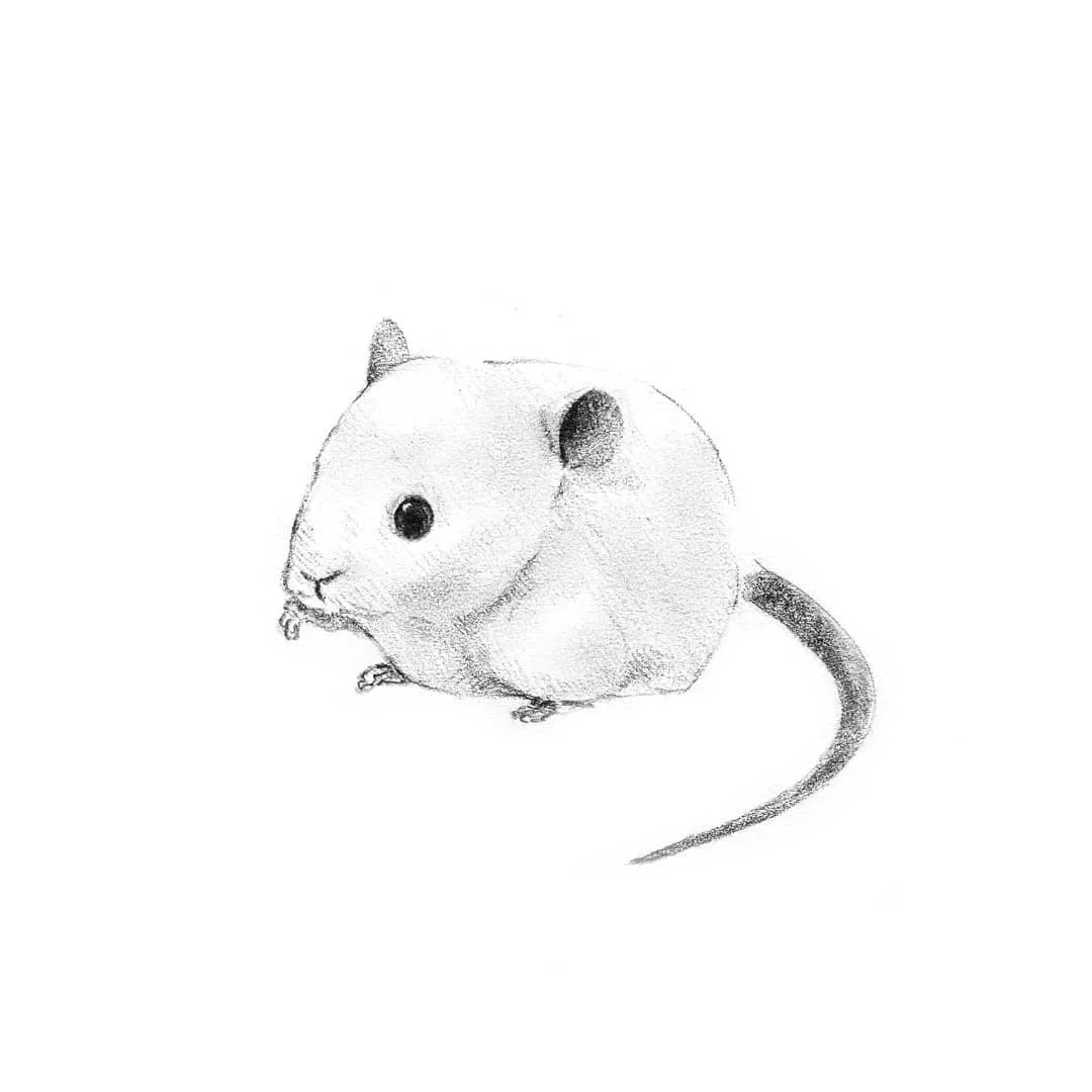 @kitesik Sketch 2018.11.30 4