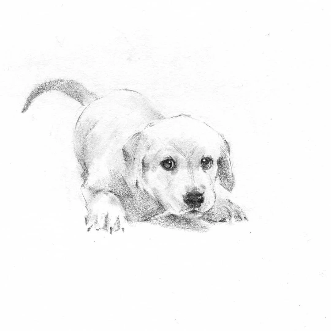 @kitesik Sketch 2018.11.30 6