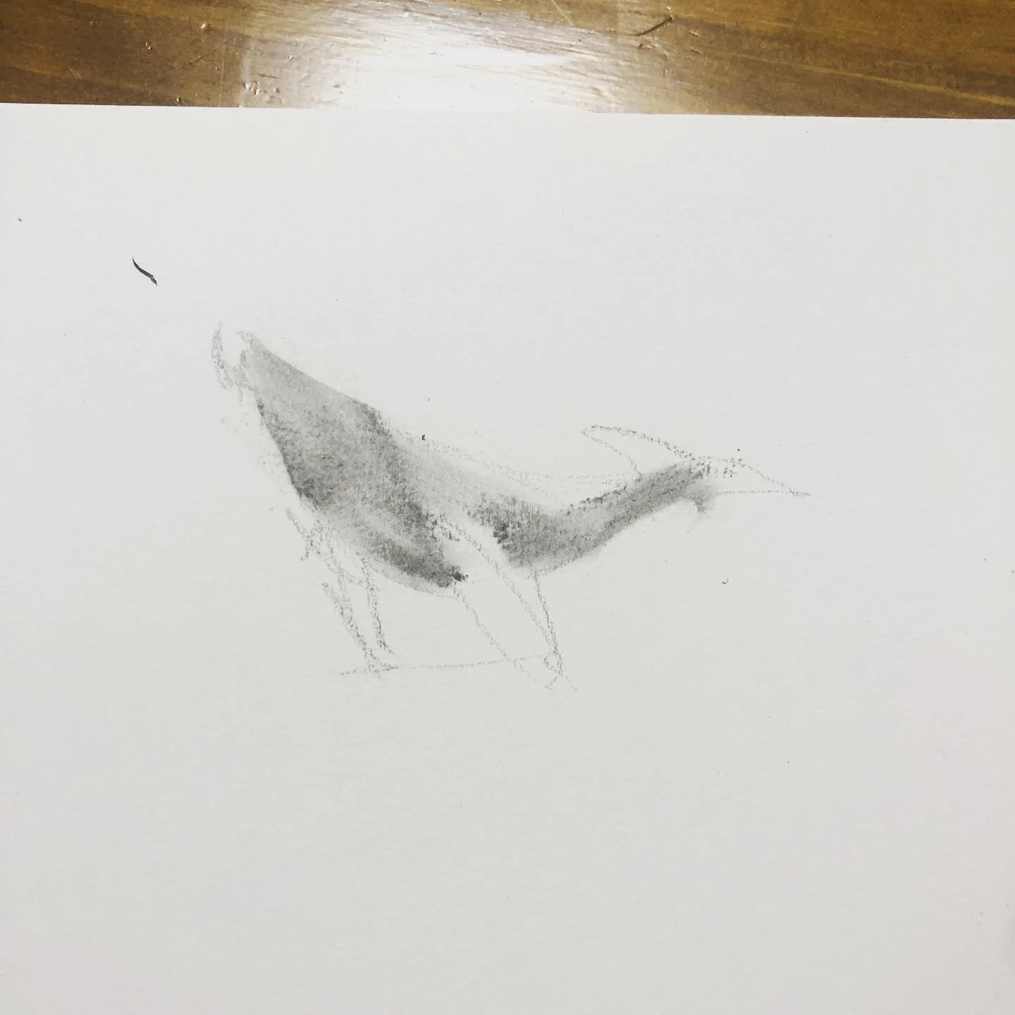 Bird in Flight 대표 이미지