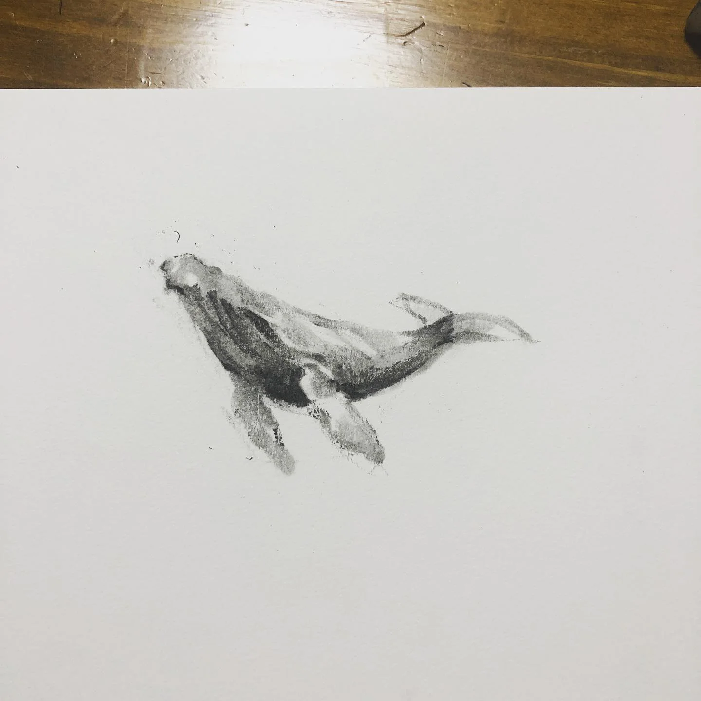 @kitesik Sketch 2020.02.19 2