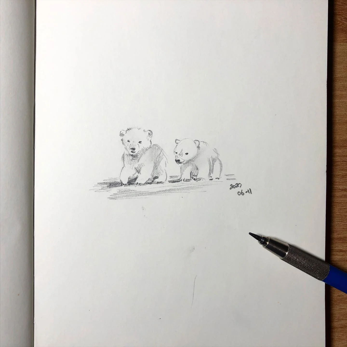 Small Animal Doodle 대표 이미지