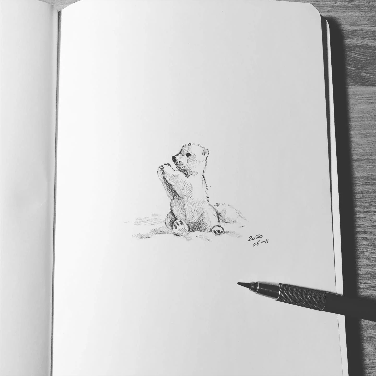 @kitesik Sketch 2020.06.11 4