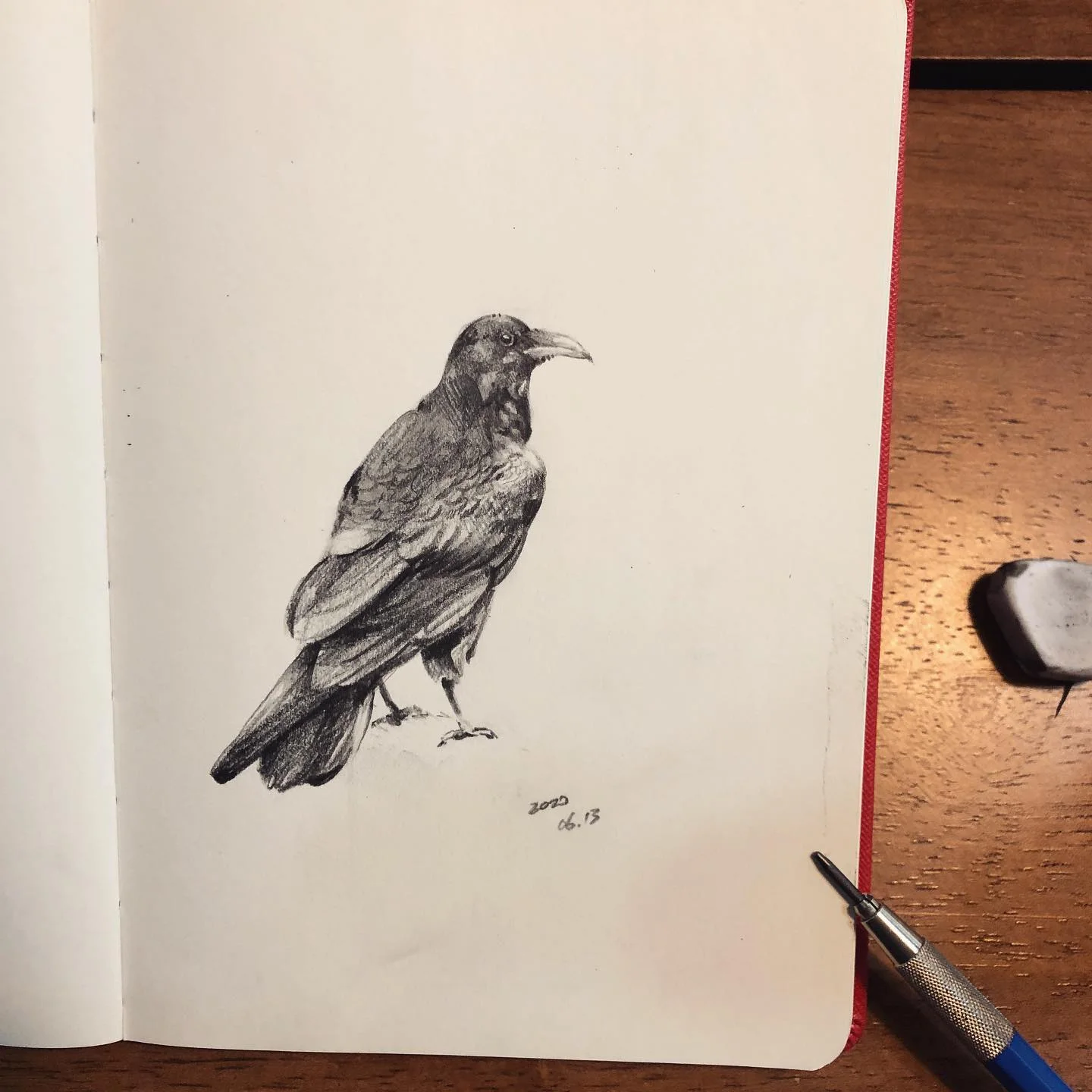 Perched Crow 대표 이미지