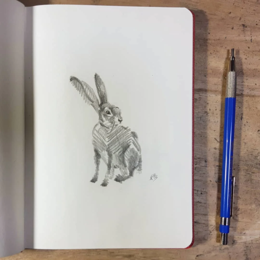 Fox Notebook Drawing 대표 이미지