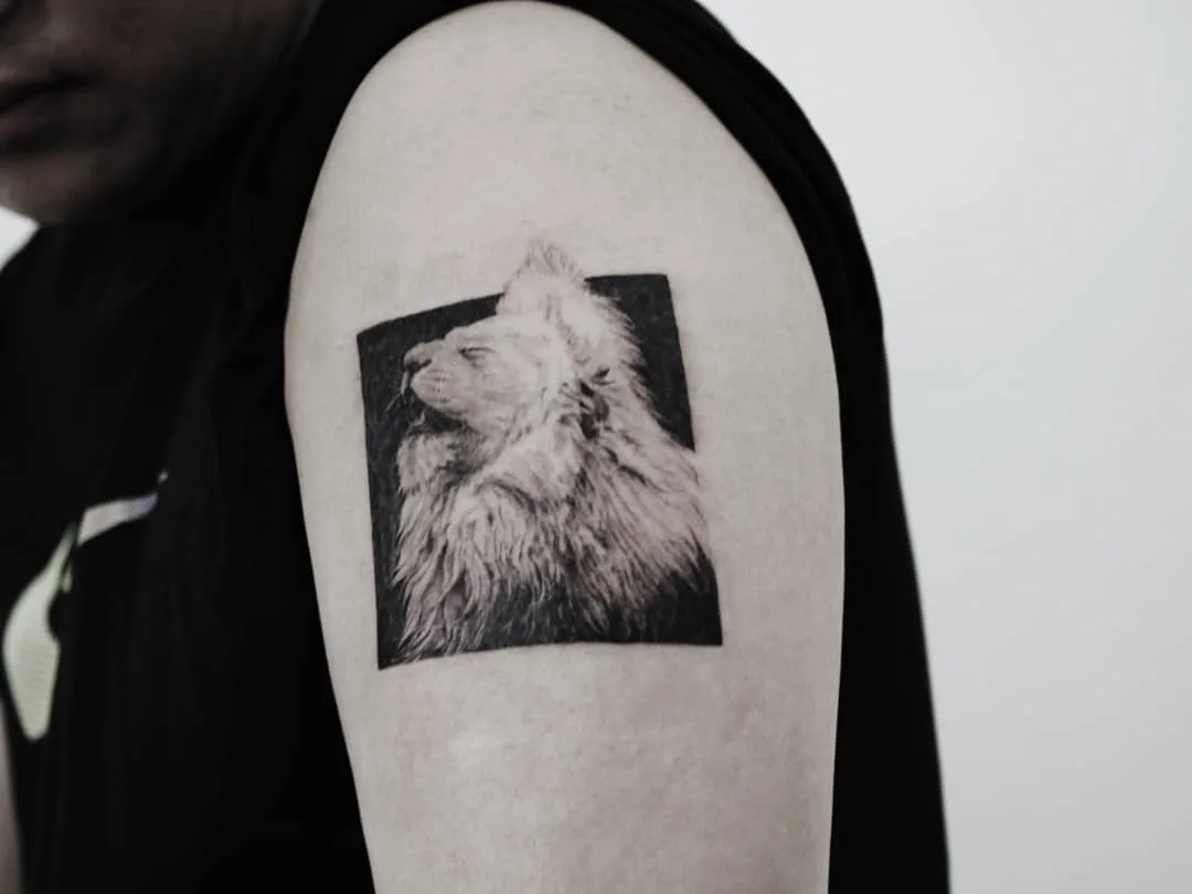 Sleeping Rabbit Design 대표 이미지