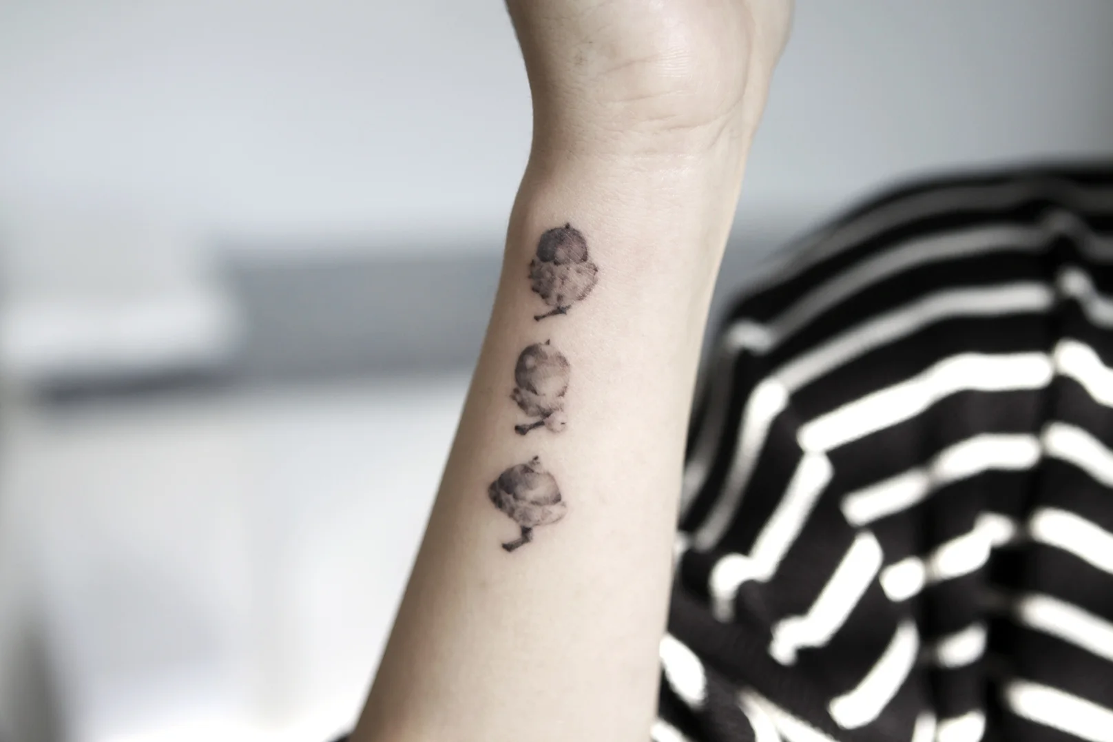 Olive Branch Arm Piece 대표 이미지