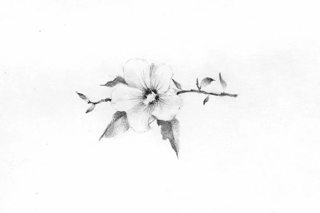 Olive Branch Detail 대표 이미지