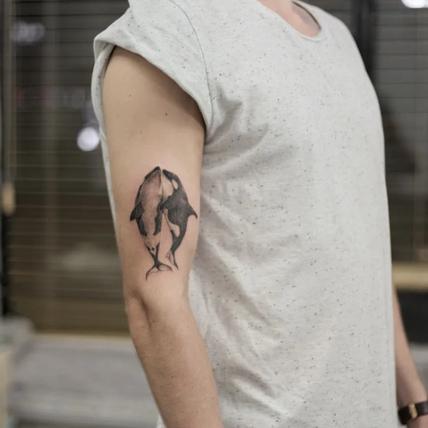 Small Olive Branch Arm 대표 이미지