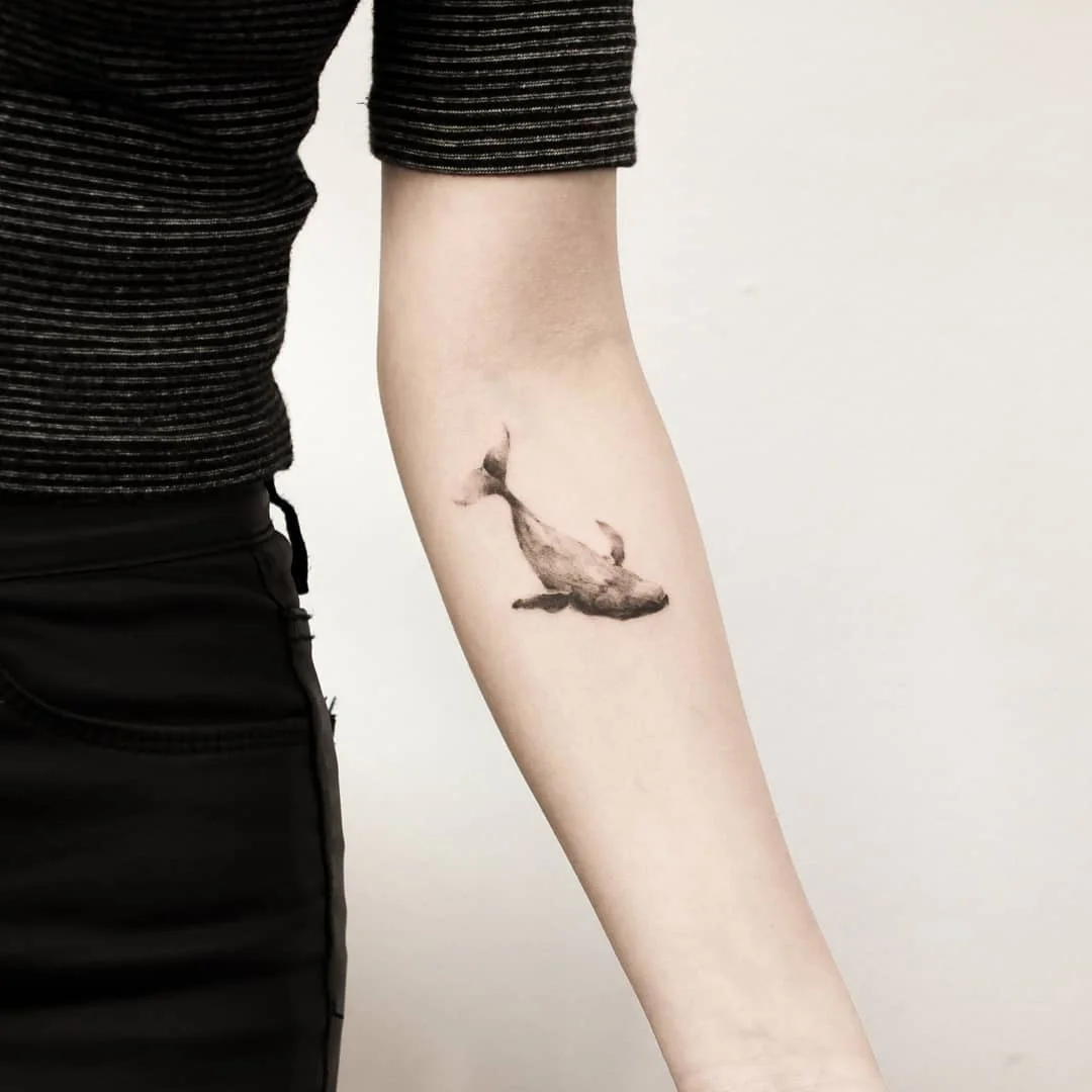 Bird Arm Draft 대표 이미지