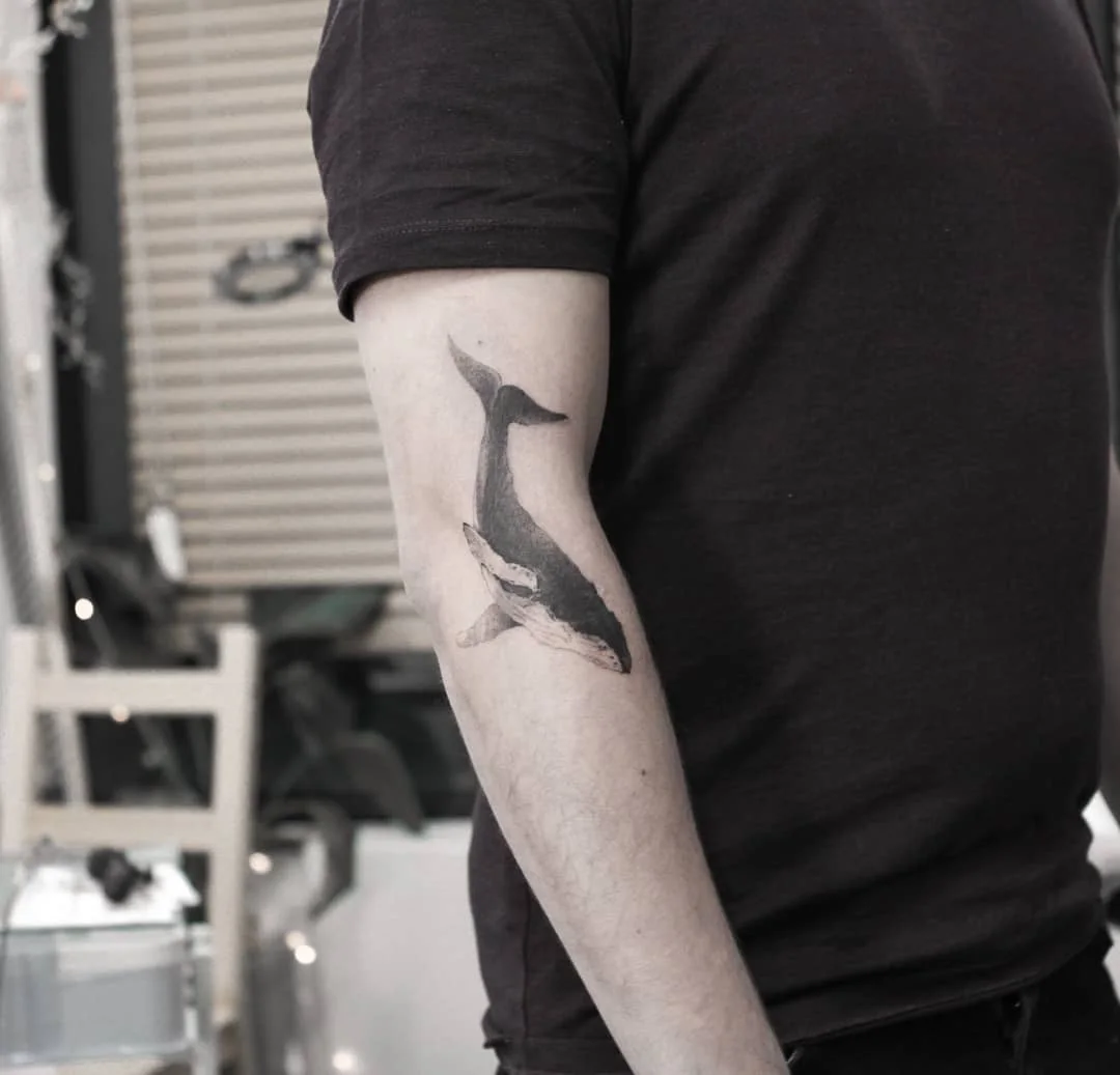 Leg Script 대표 이미지