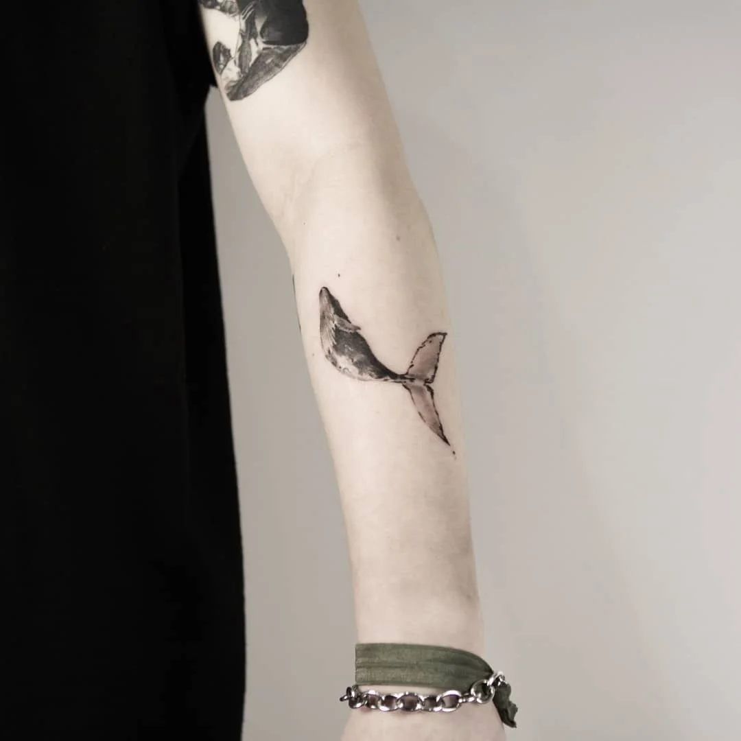 Crow Sleeve 대표 이미지
