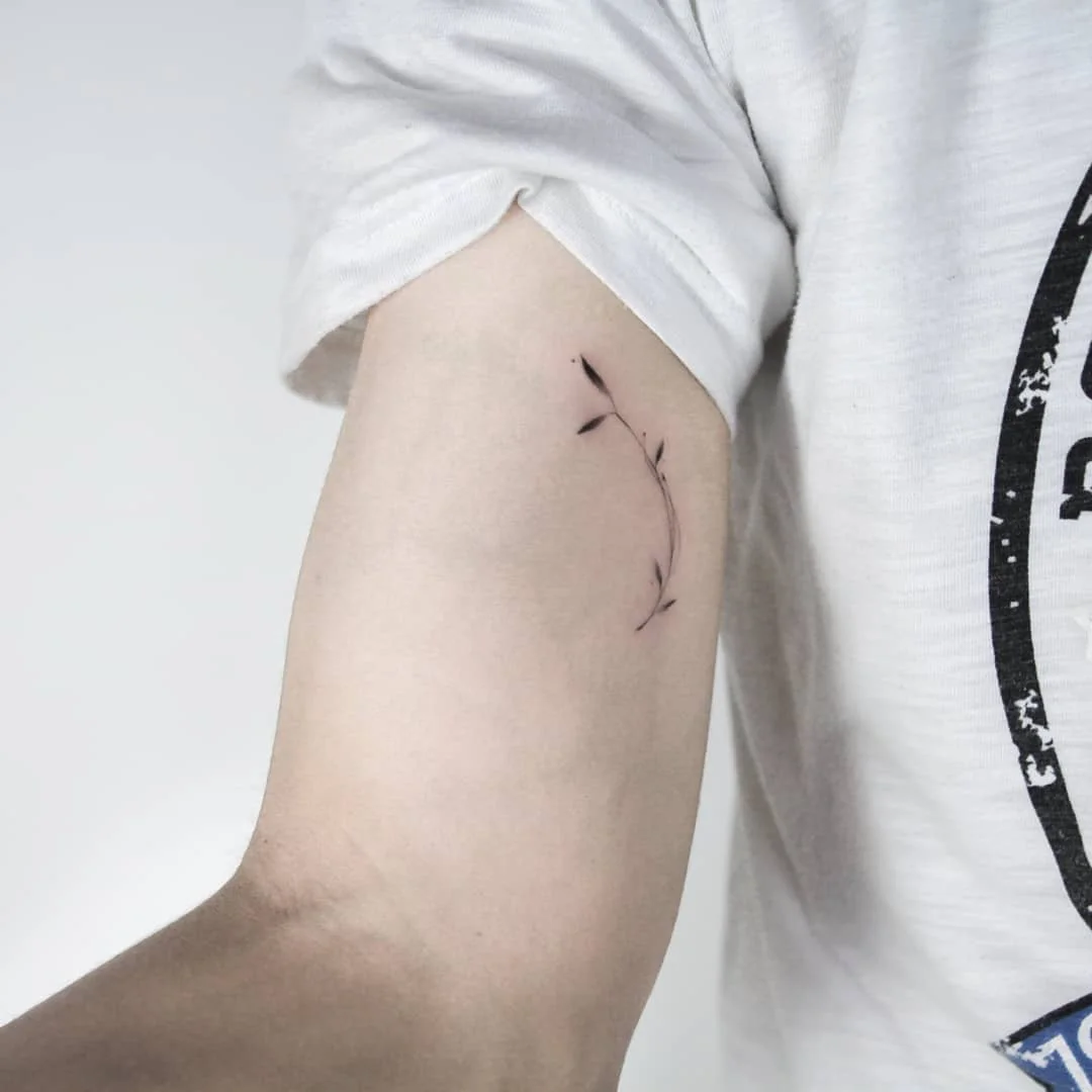 Back Feather 대표 이미지