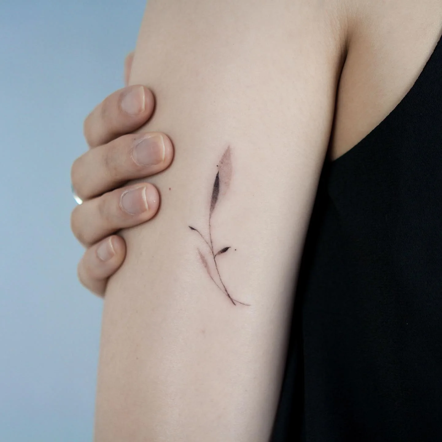 Manta Ray Hip 대표 이미지