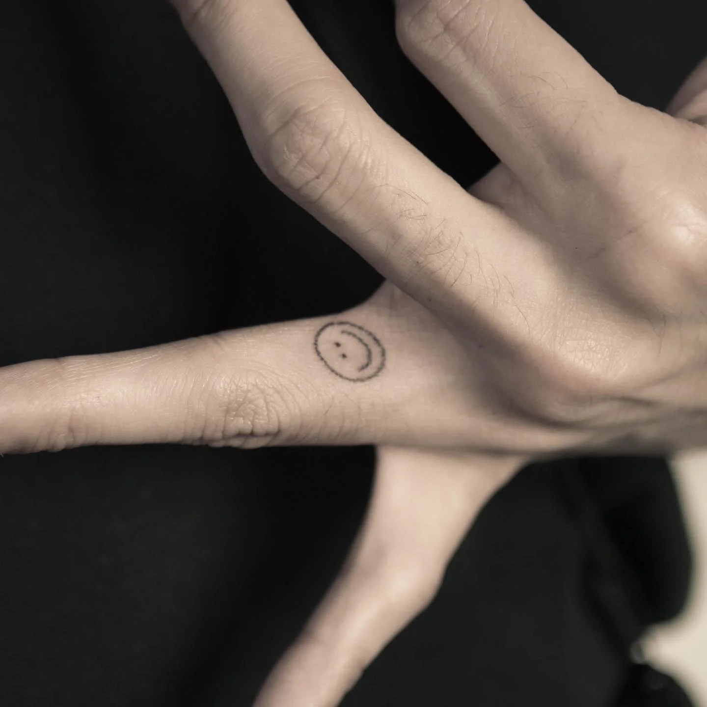 Flying Bird Arm 대표 이미지