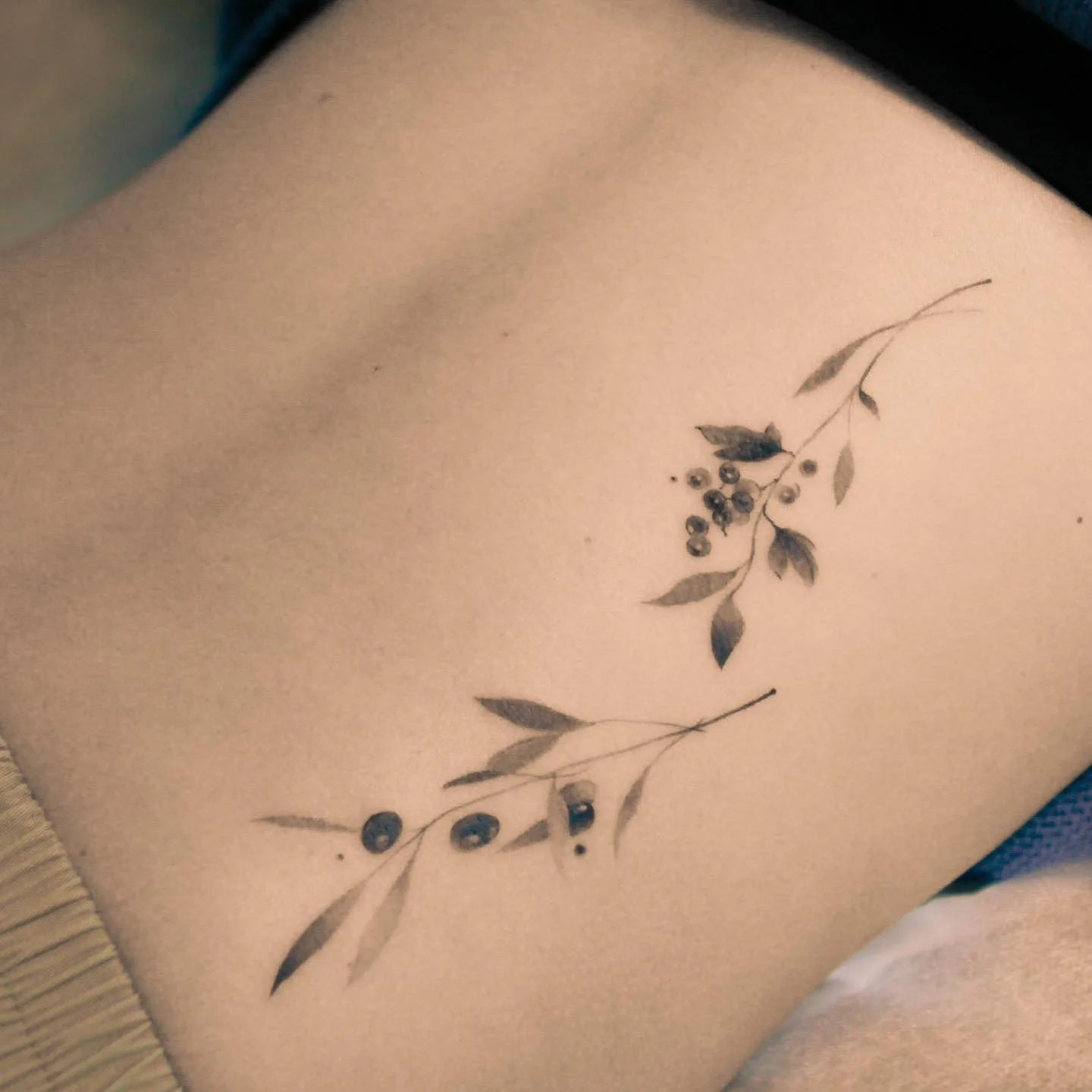 Botanical Waist 대표 이미지