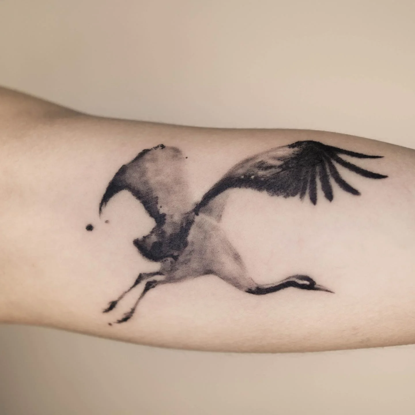 Manta Ray Arm 대표 이미지