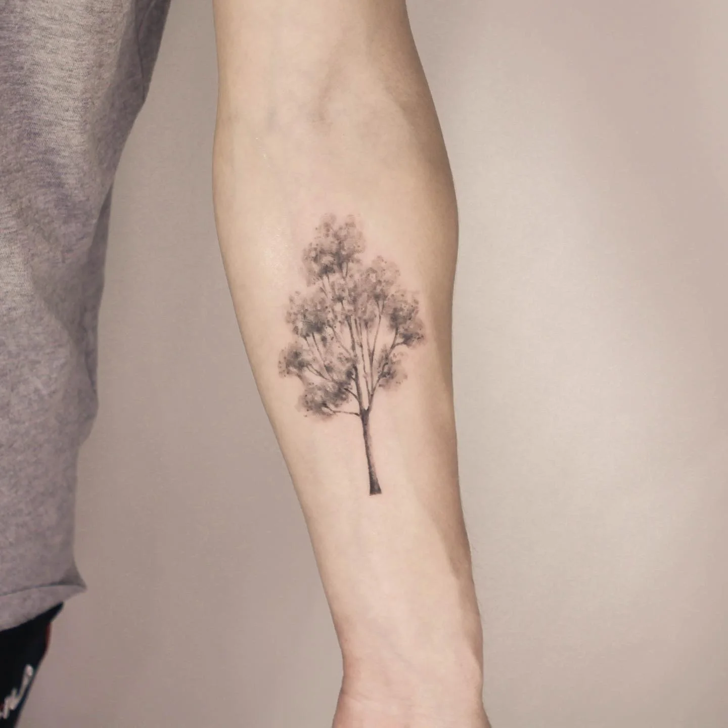 Shadow Butterfly Arm 대표 이미지