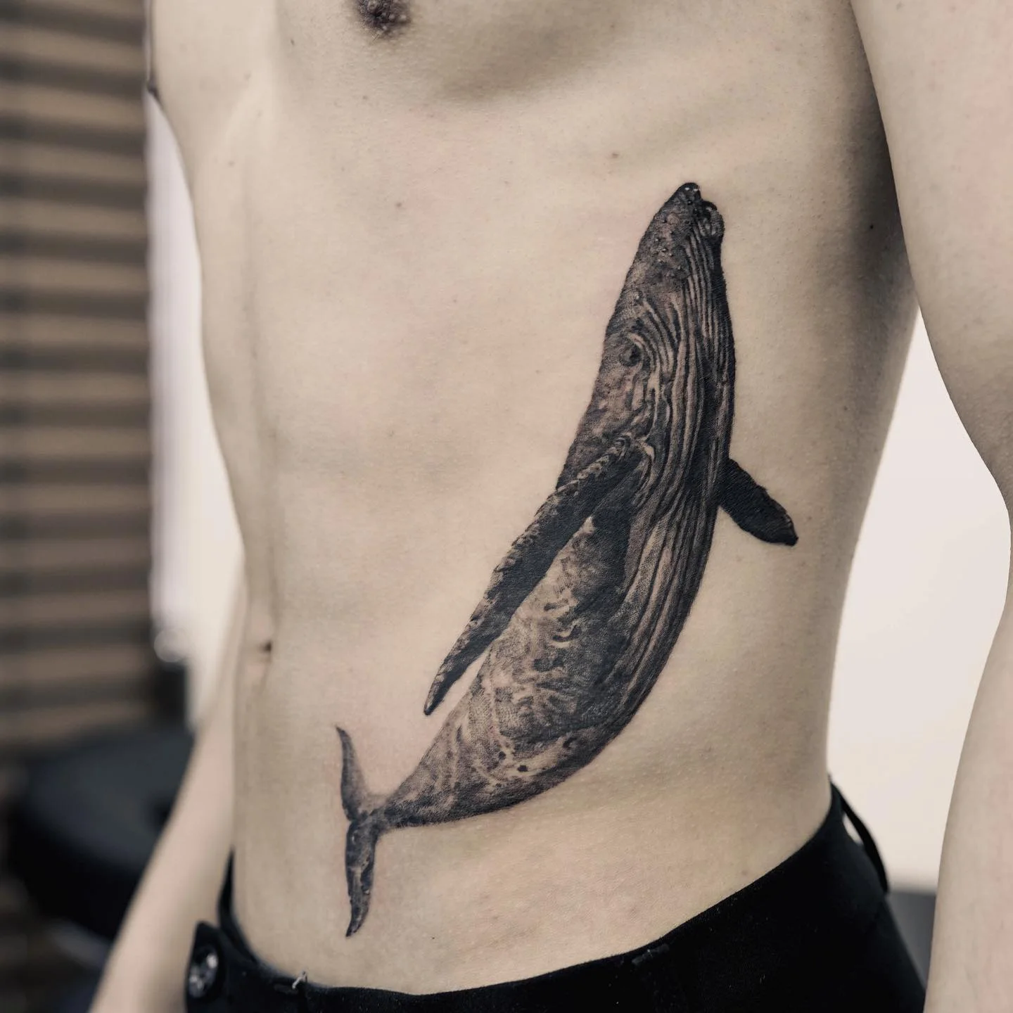 Bird Sleeve Detail 대표 이미지