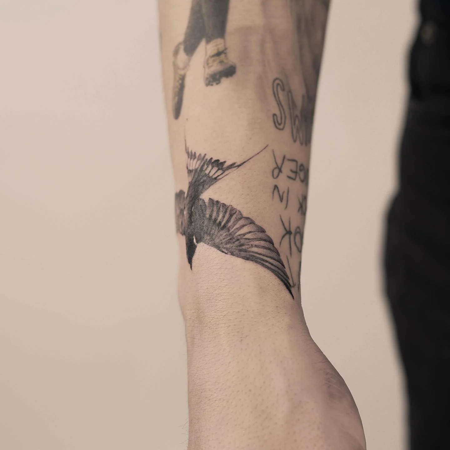 Bird Arm 대표 이미지
