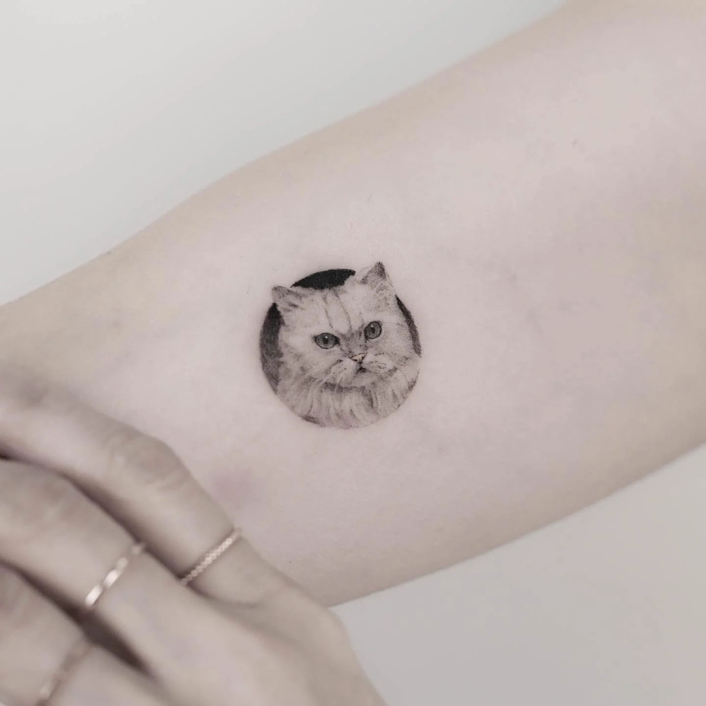 Feather Foot 대표 이미지
