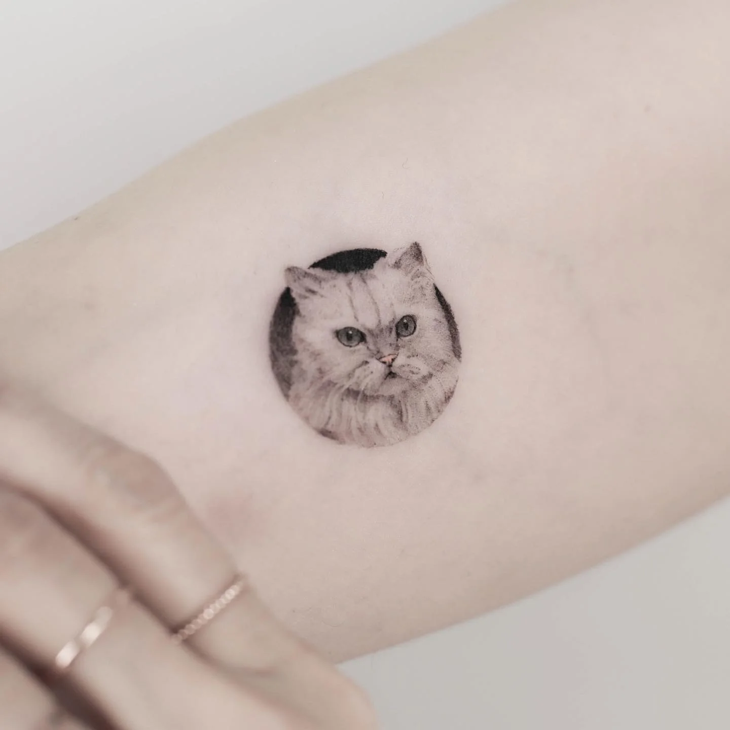 @sickattoo Tattoo 2020.03.14 2