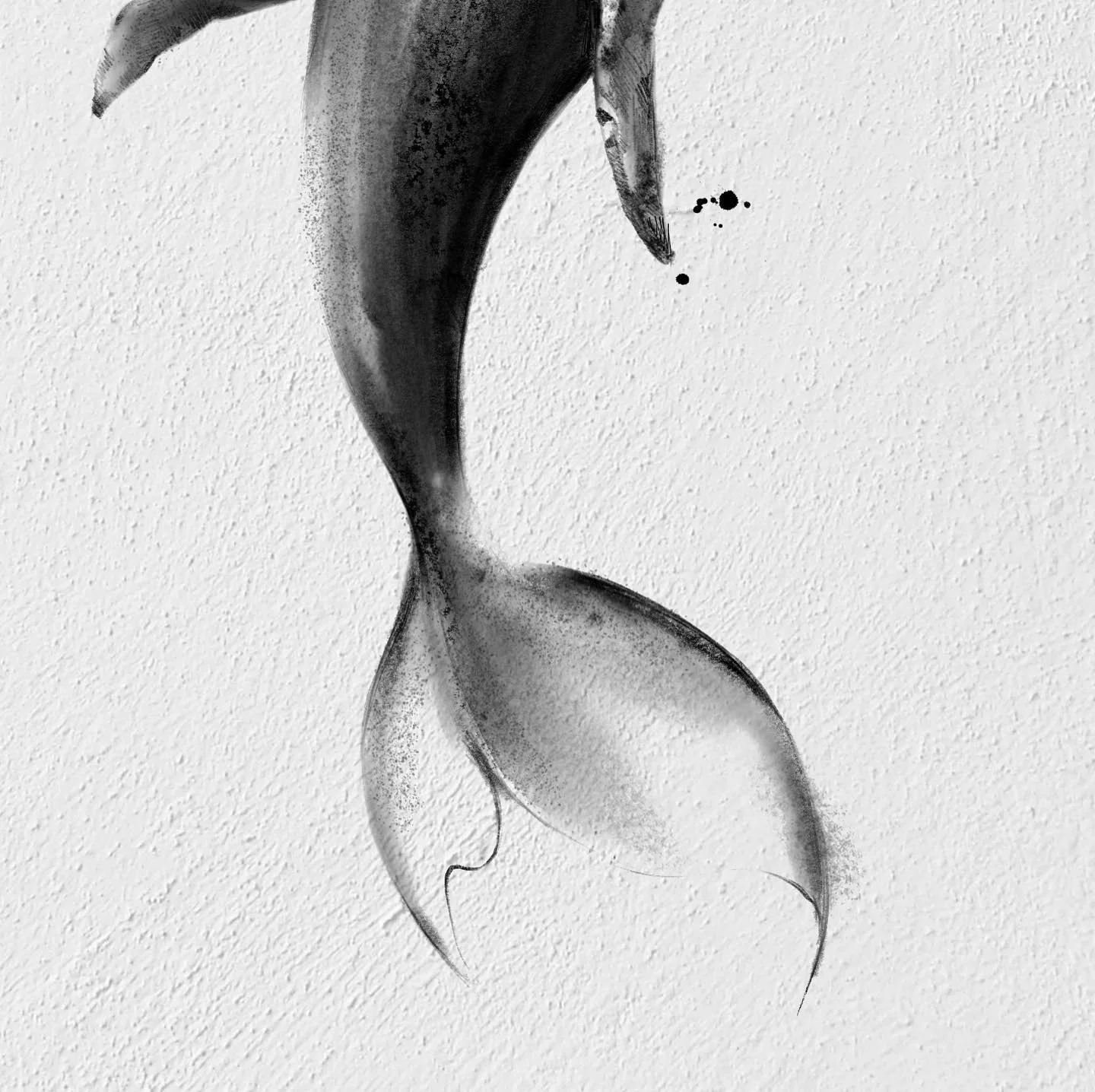 Bird Foot 대표 이미지