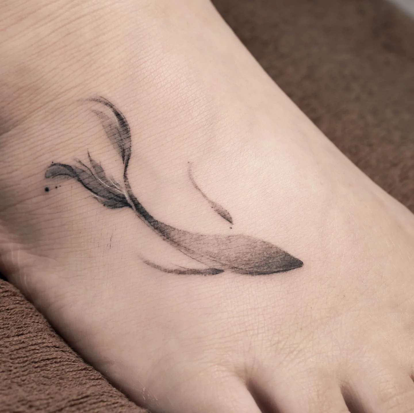 Dolphin Rib 대표 이미지