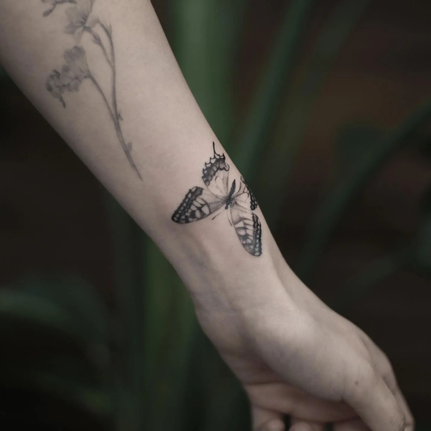 Leaf Arm 대표 이미지