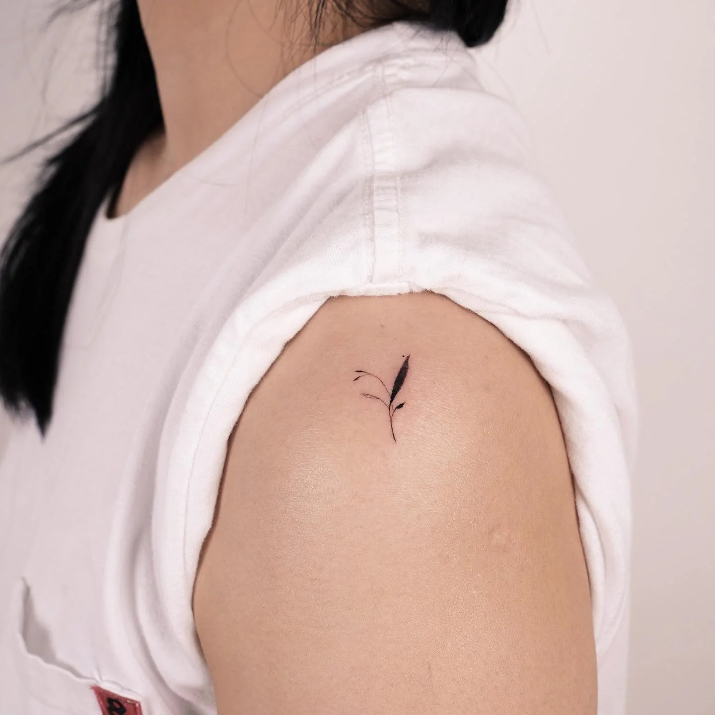 Crow Shoulder Detail 대표 이미지