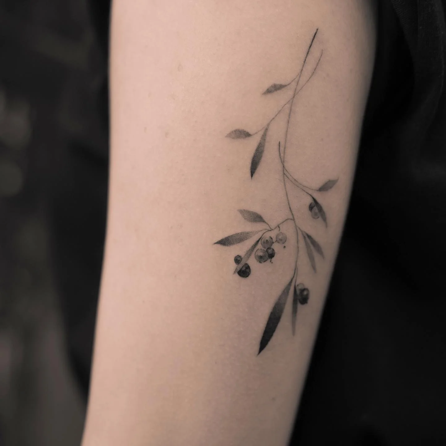 Bird Back Detail 대표 이미지
