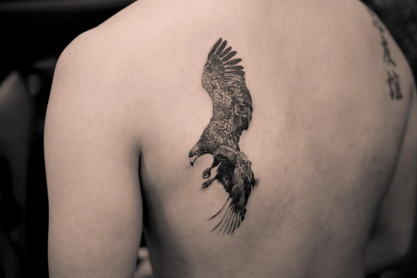 Animal Arm 대표 이미지