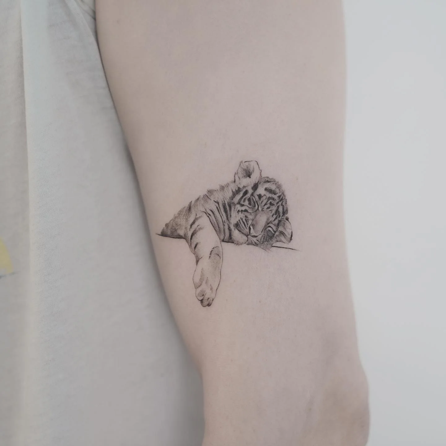 Small Cat and Flower Arm 대표 이미지
