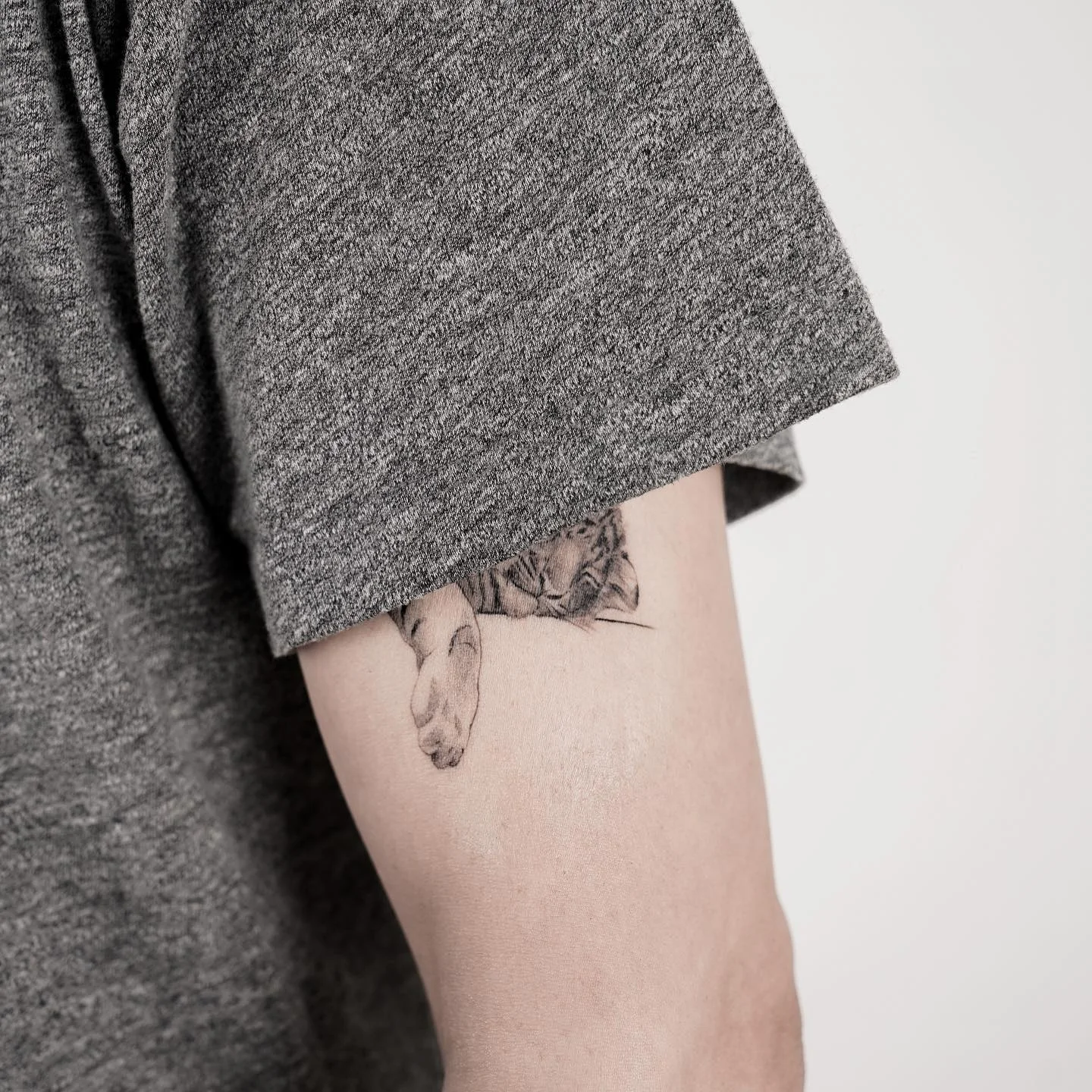Cat and Flower Arm 대표 이미지