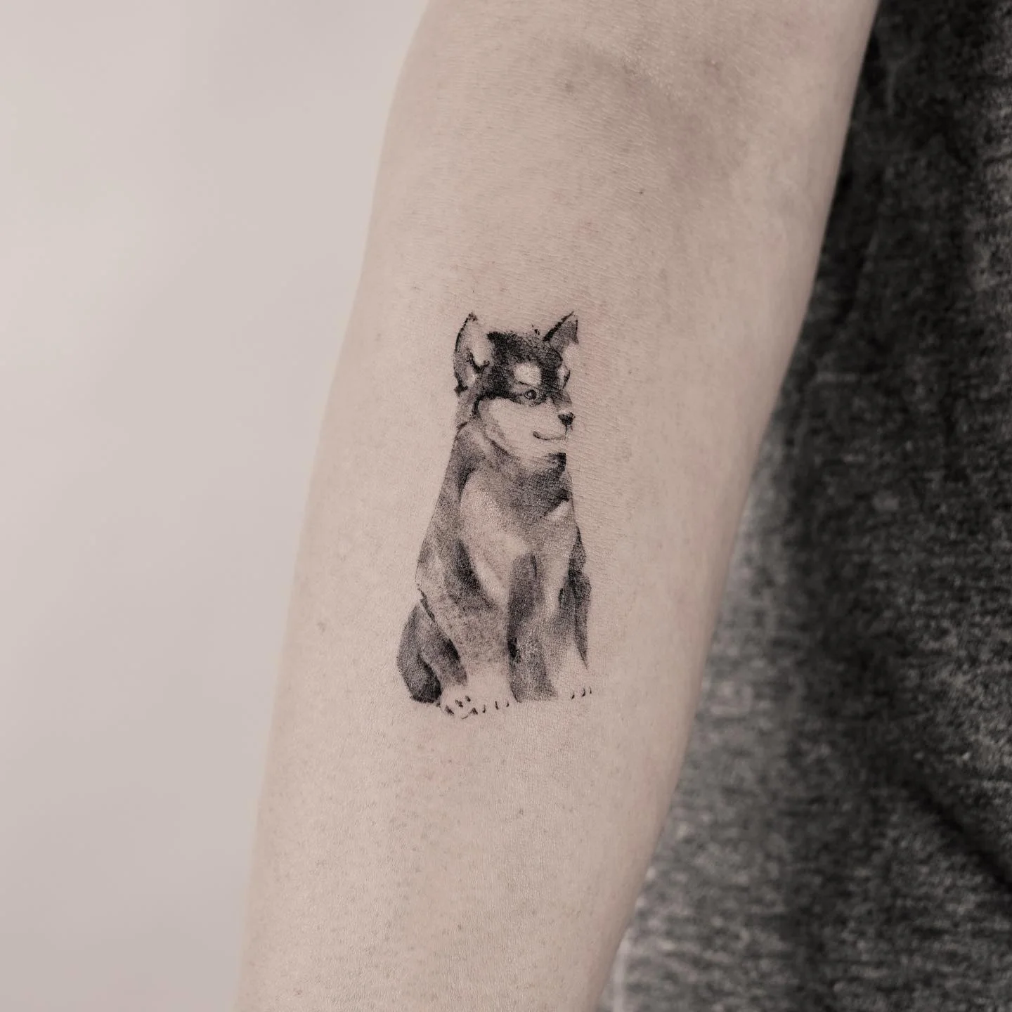 Bird Ankle 대표 이미지