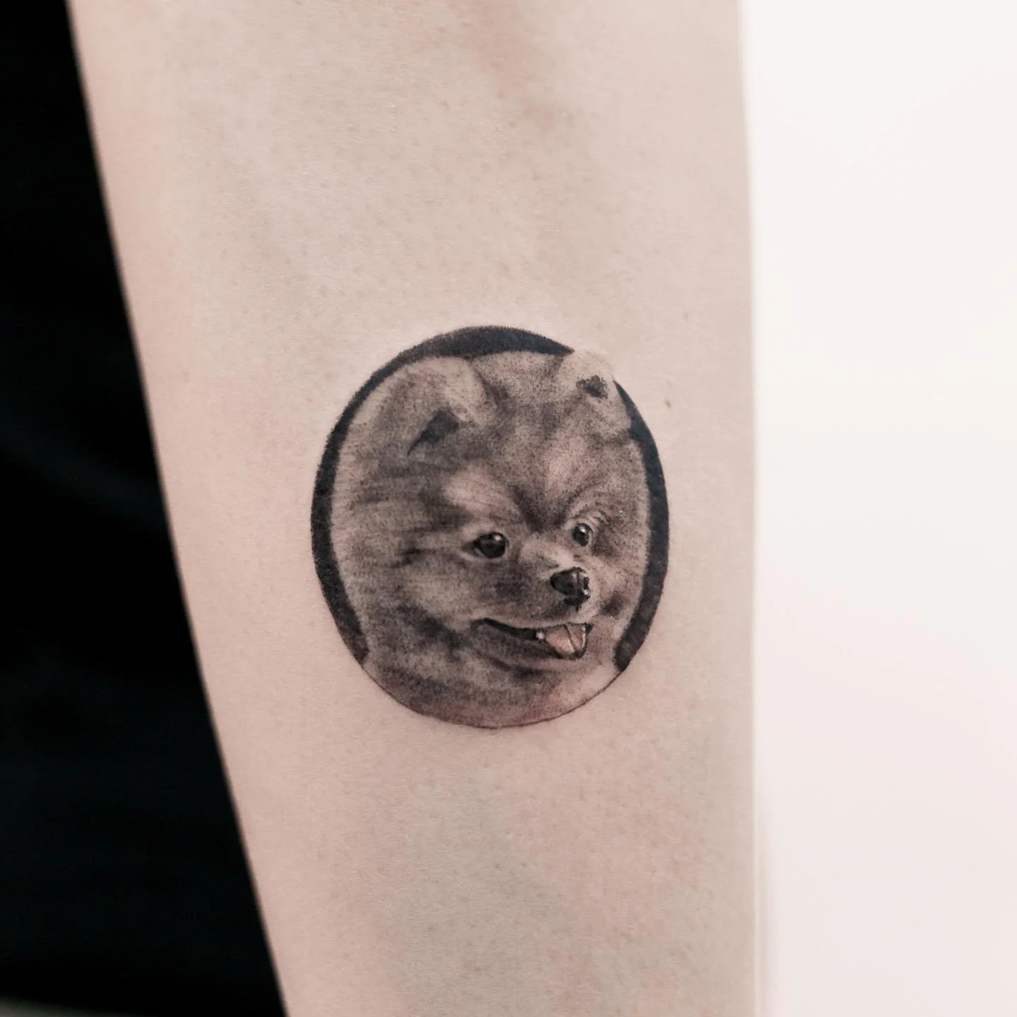 Crow Shoulder 대표 이미지