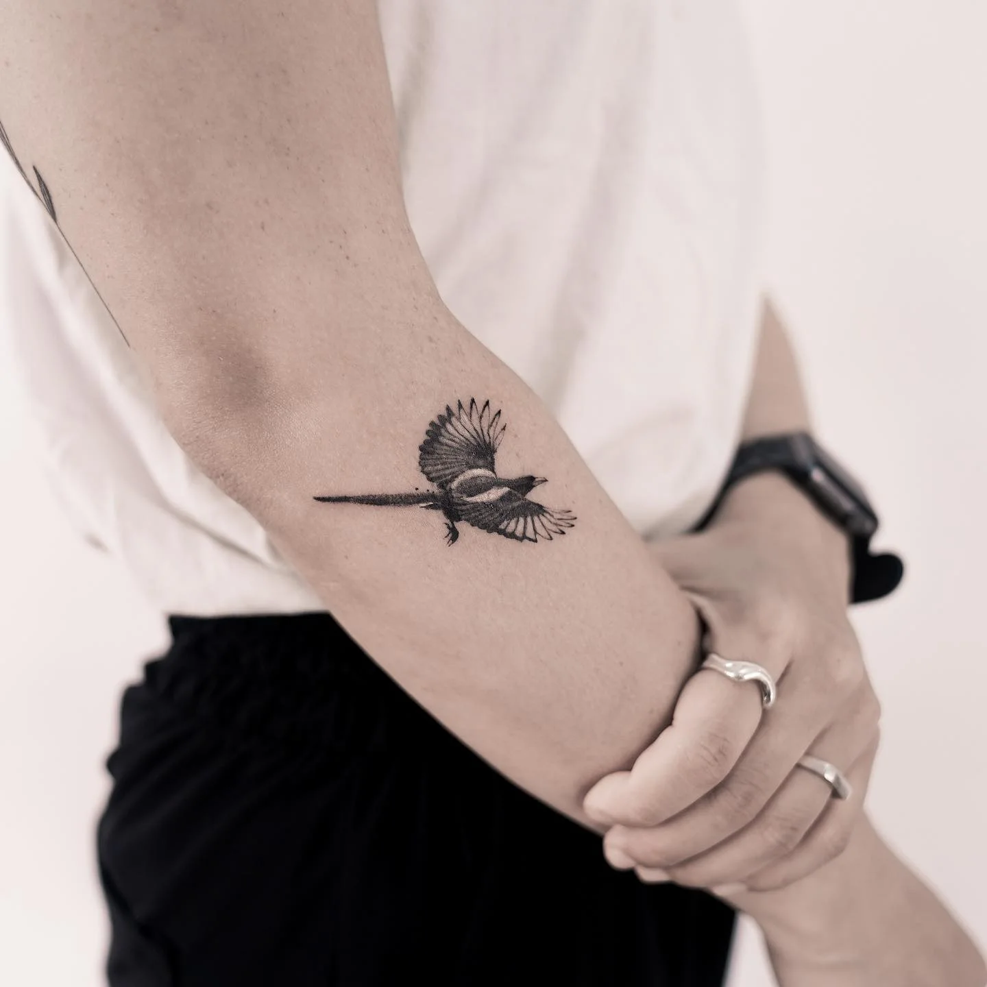 Rose Hip 대표 이미지