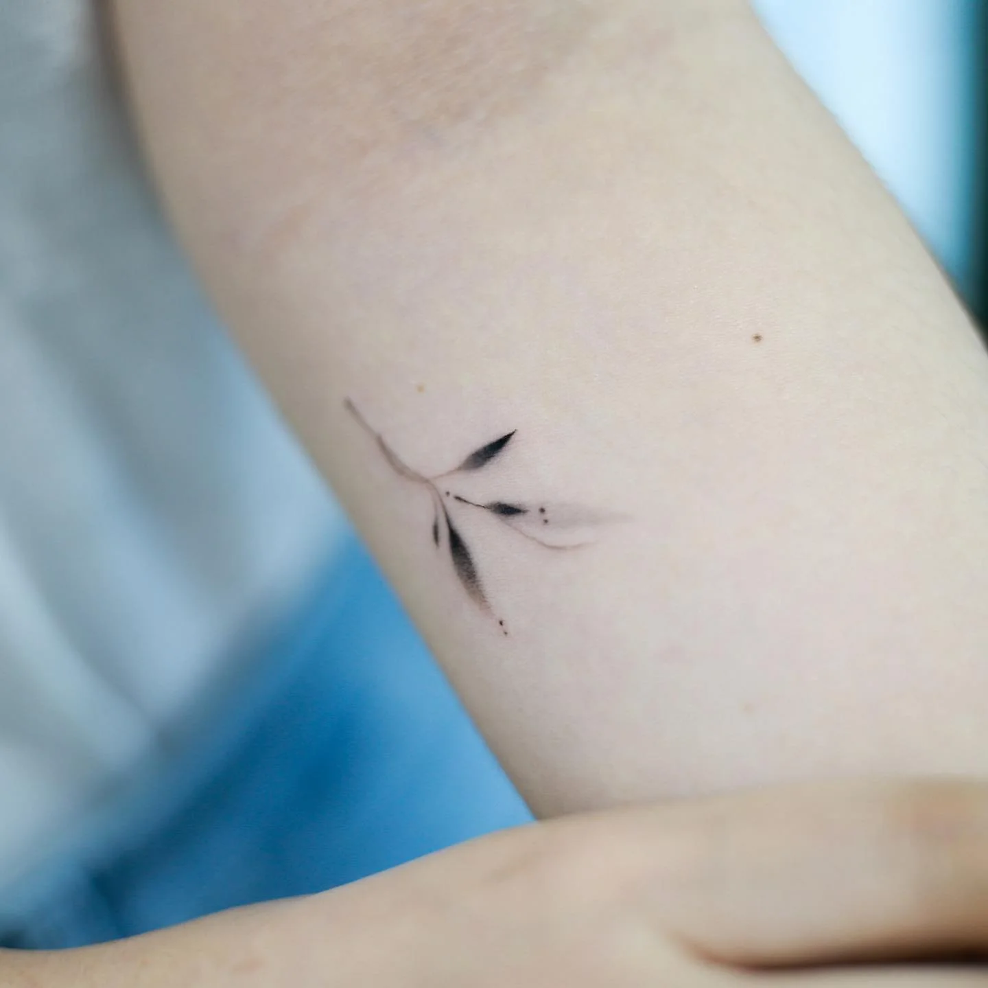 Hummingbird Arm 대표 이미지