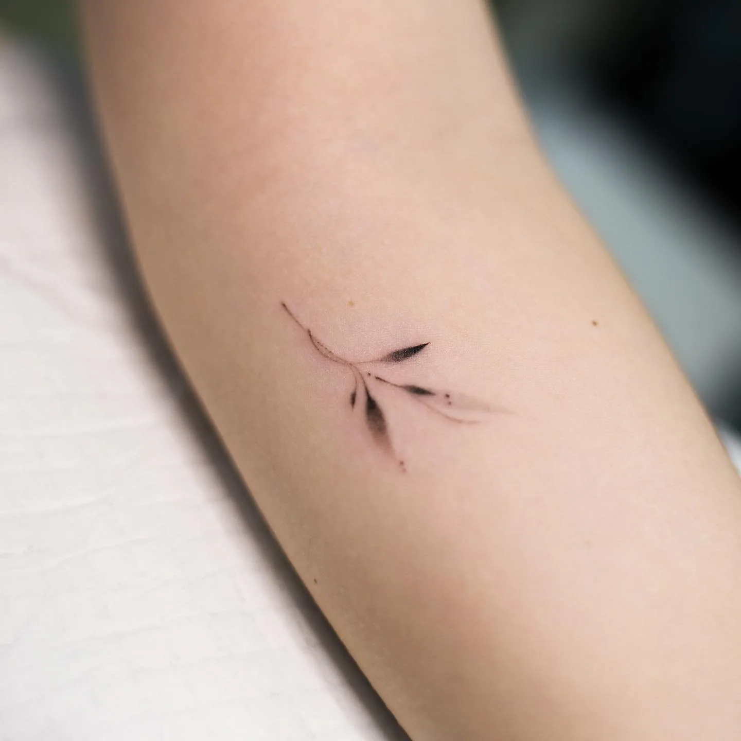 Crow Branch Arm 대표 이미지