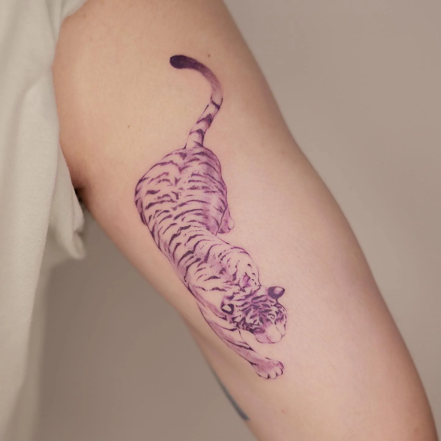 Olive Branch 대표 이미지