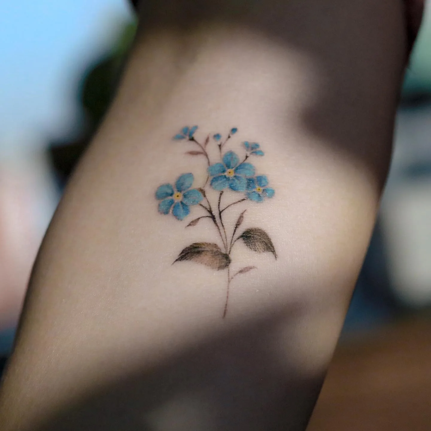 Crow Forearm Closeup 대표 이미지