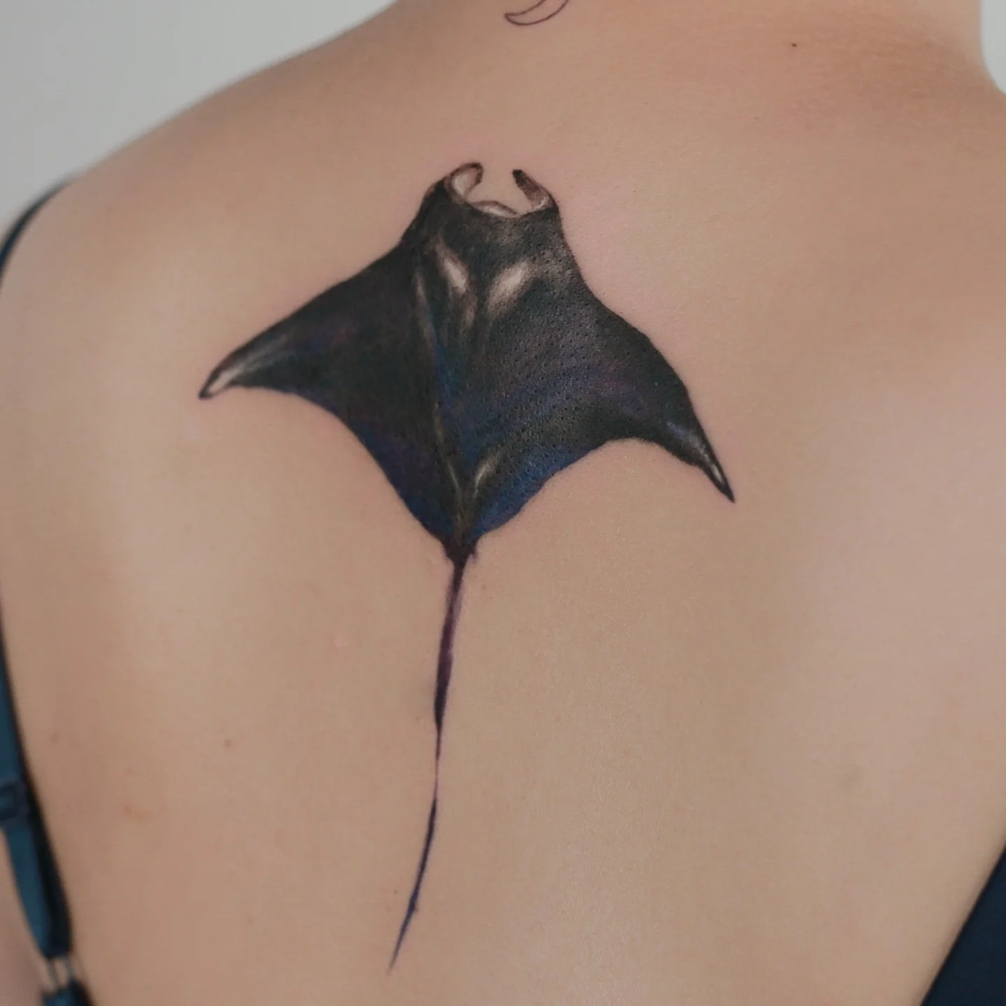 Leaf Motif Draft 대표 이미지