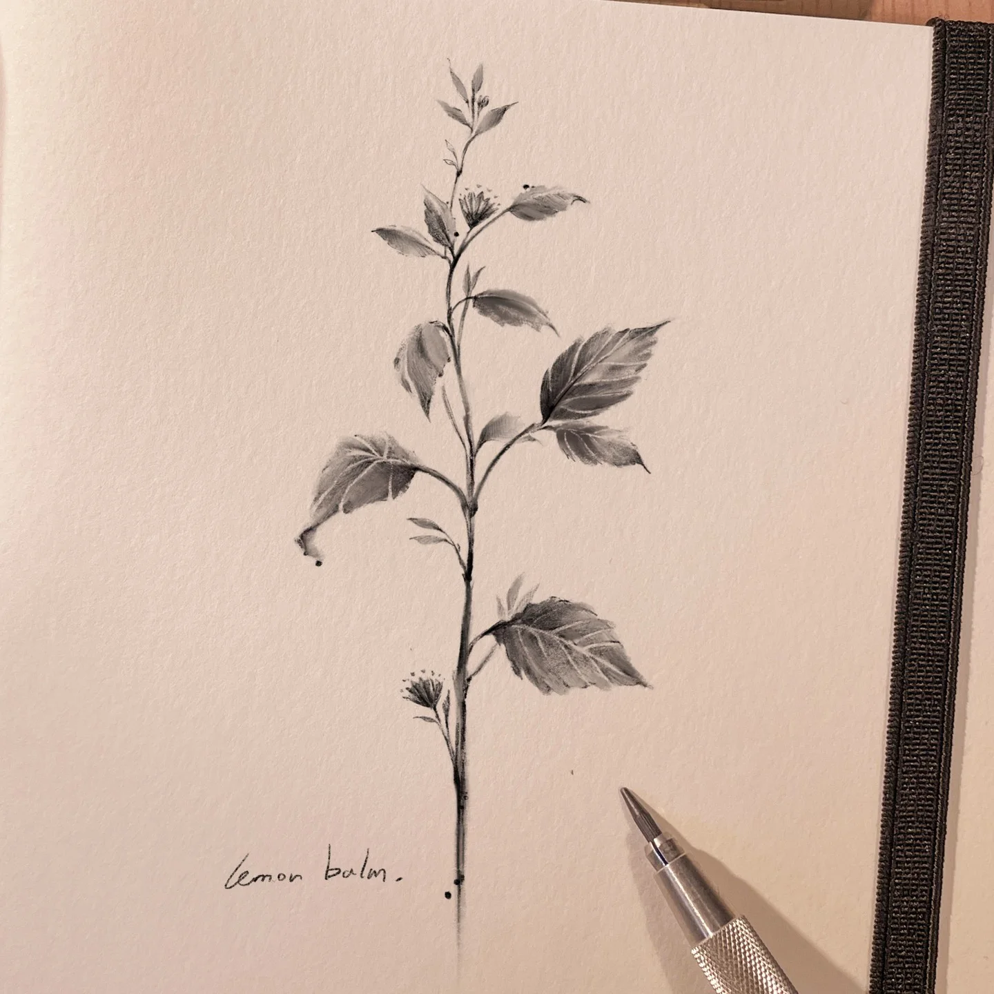 Leaf Forearm 대표 이미지