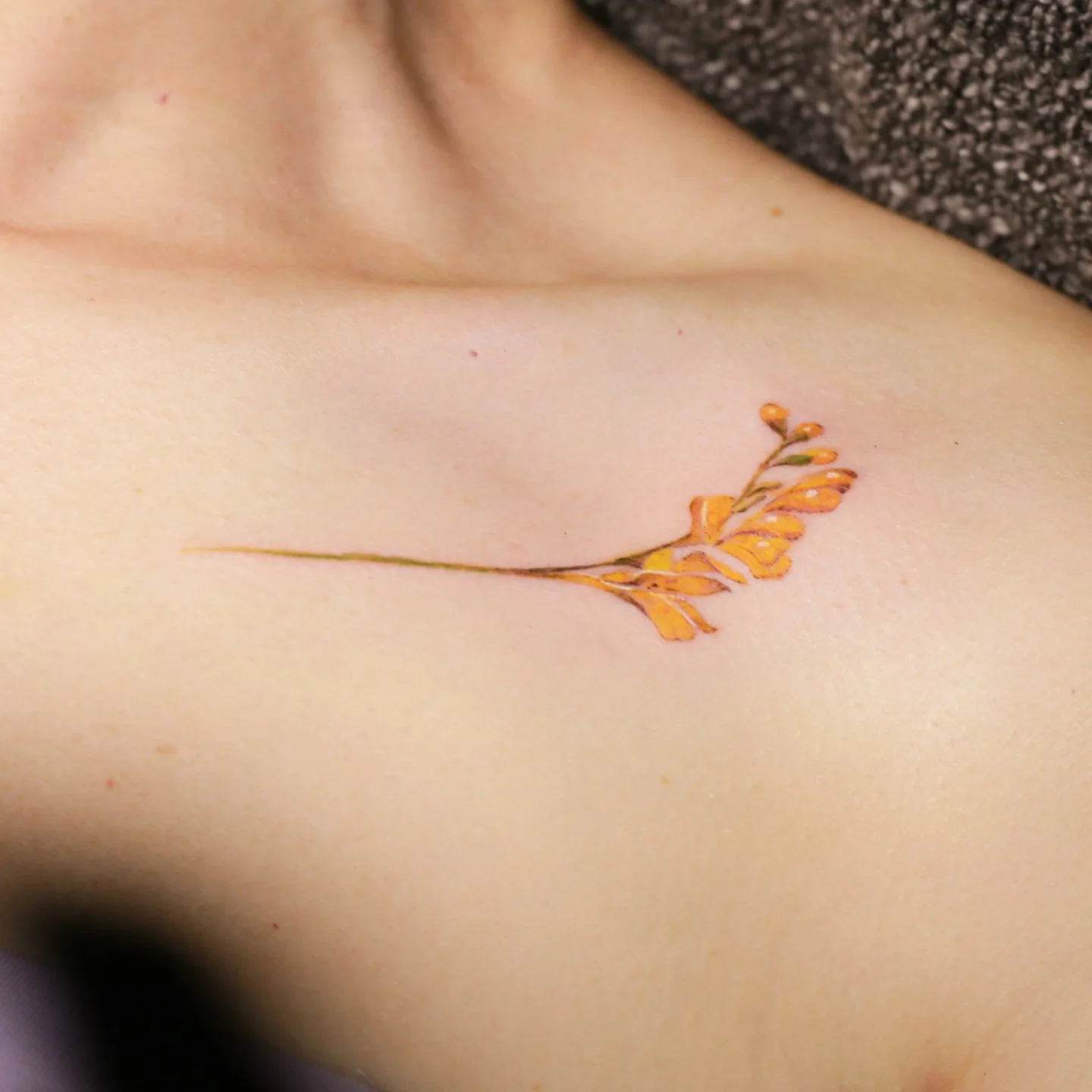Fir Tree 대표 이미지