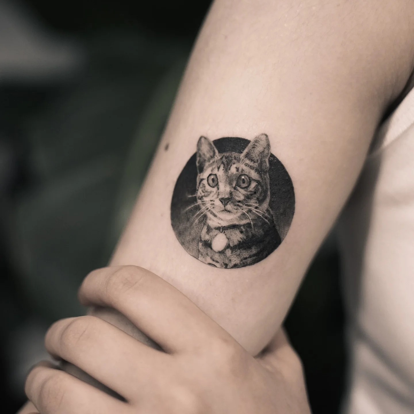 @sickattoo Tattoo 2022.06.15 6